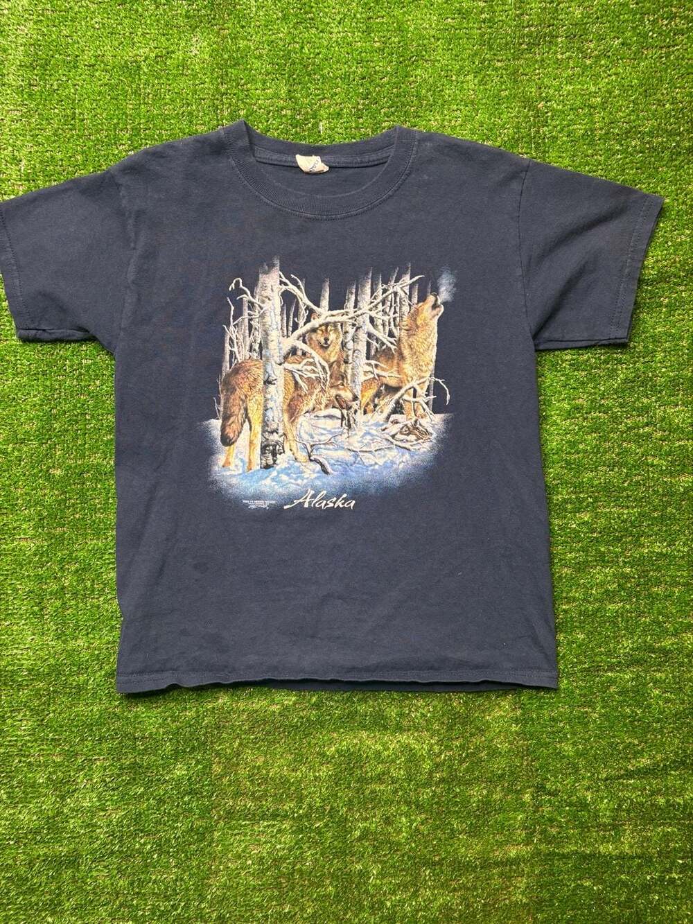 Vintage Alaska 11 Hidden Wolves Polar Graphics Graphic T-Shirt